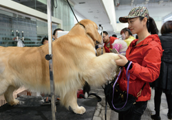 2016中国（西部）宠物产业博览会